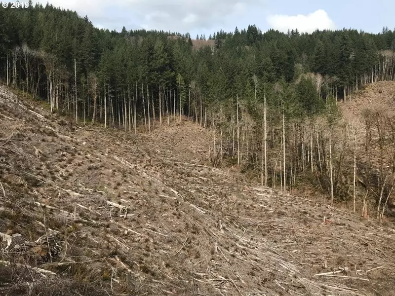 Marys Peak RD, Blodgett, OR 97326