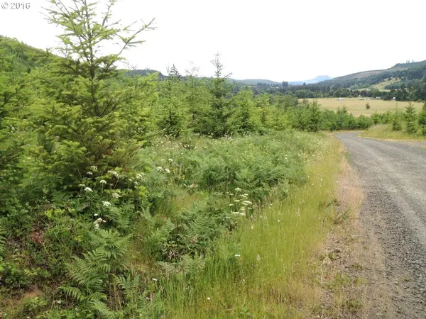 31369 Fireclay RD #Lot#1, Cottage Grove, OR 97424