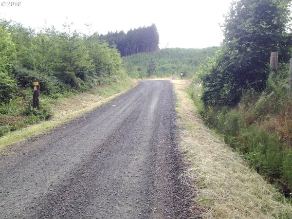 31369 Fireclay RD #Lot#1, Cottage Grove, OR 97424