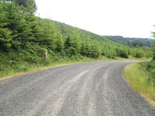 Cottage Grove, OR 97424,31369 Fireclay RD #Lot#3