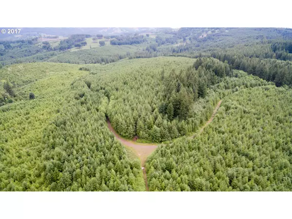 Washougal, WA 98671,1 NE Ammeter RD