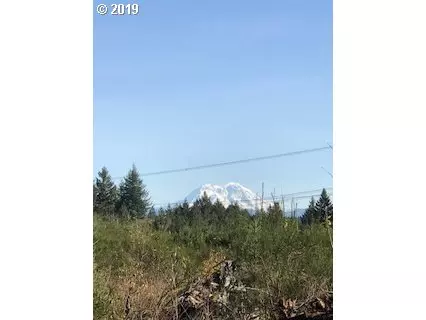 287 COMA RD, Vader, WA 98593