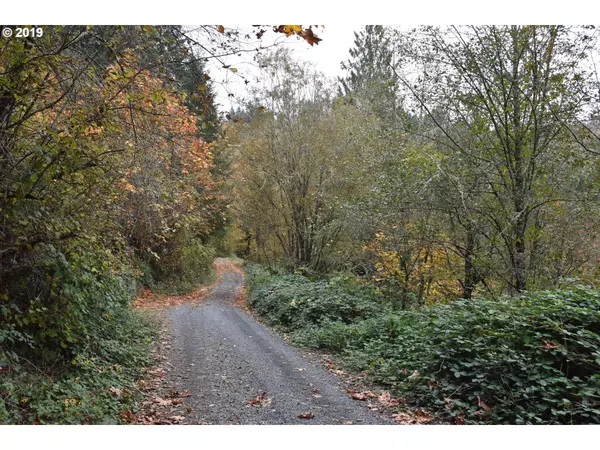 Woodland, WA 98674,0 Fairwood RD