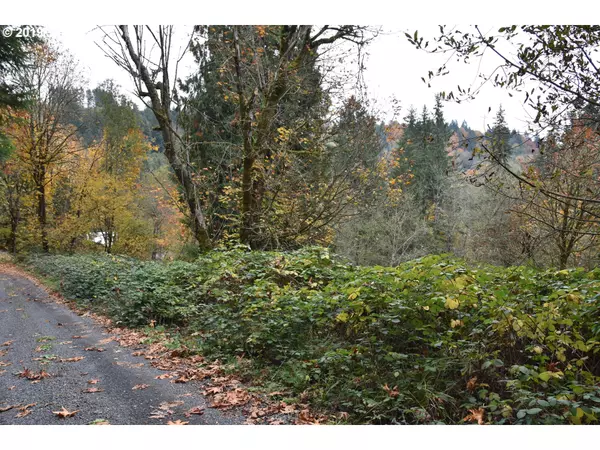 Woodland, WA 98674,0 Fairwood RD