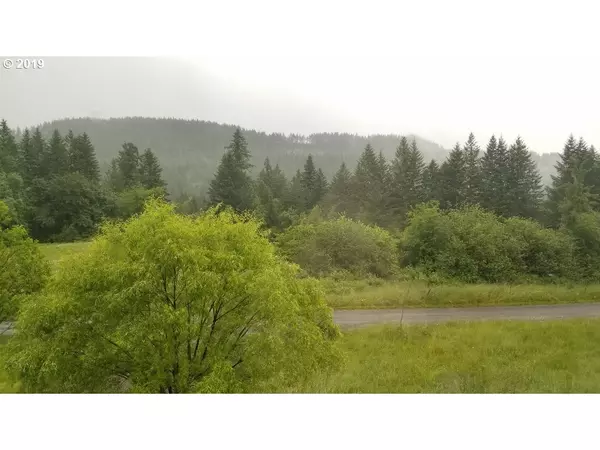 Washougal, WA 98671,Baars Hollow RD #3