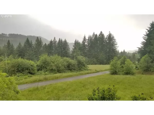 Washougal, WA 98671,Baars Hollow RD #3