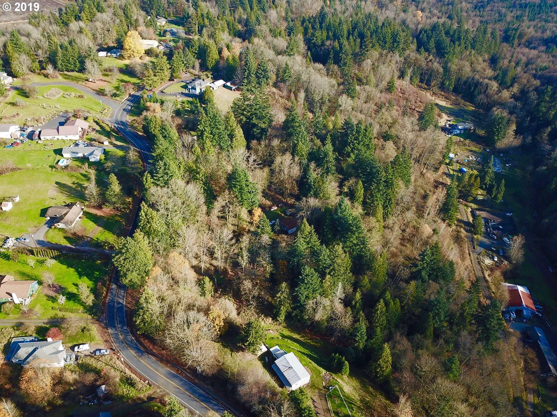 Kelso, WA 98626,221 HOLCOMB RD