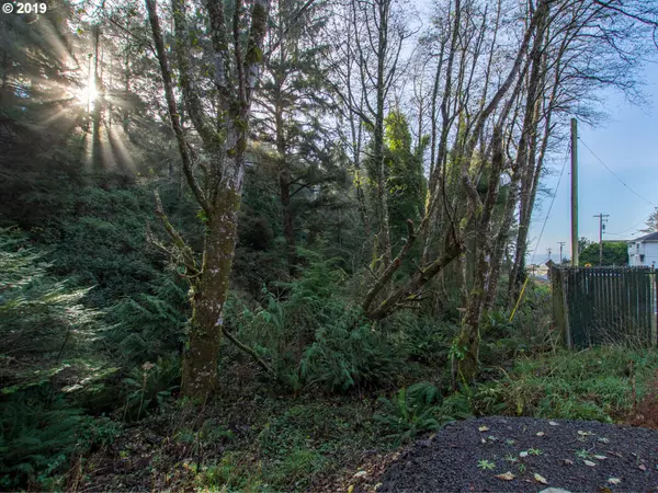 Oceanside, OR 97134,Cape Meares LOOP #2Lots