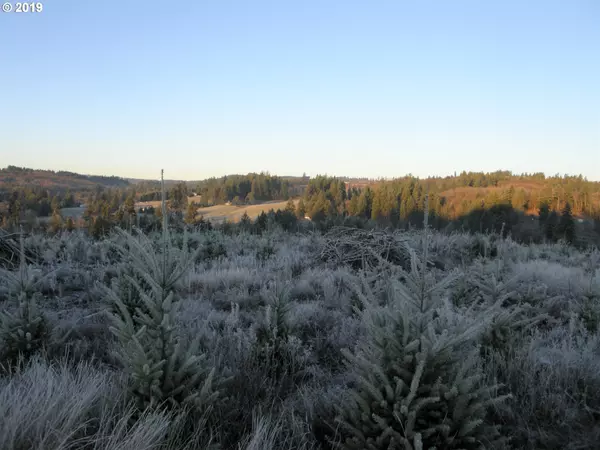 Rainier, OR 97048,Beaver Homes RD