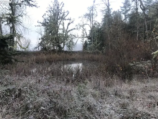 34143 MEYER RD, Cottage Grove, OR 97424