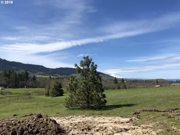 Lyle, WA 98635,Lot 2 Struck RD