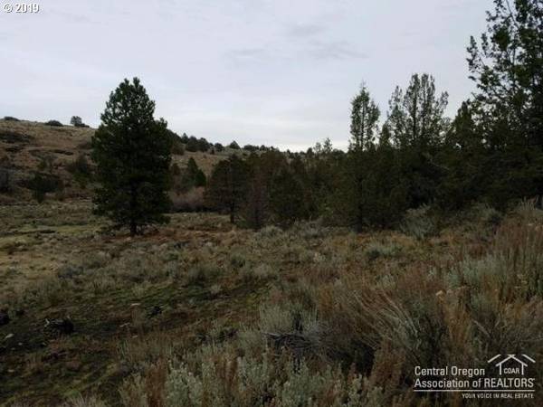 Cottonwood Reservoir RD NE, Drewsey, OR 97904