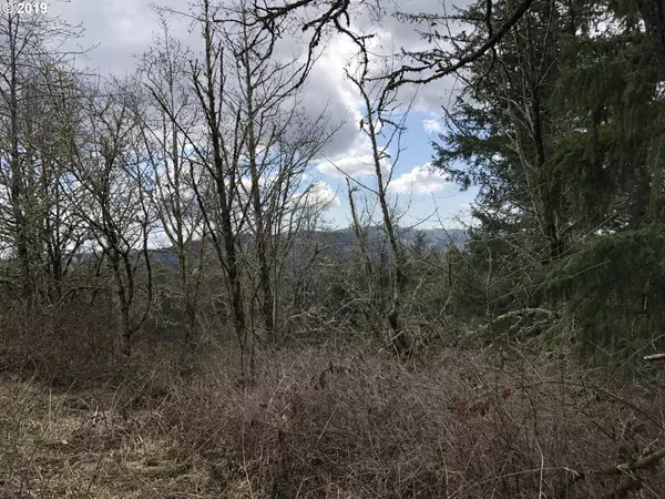 Kalama, WA 98625,141 HANSON RD