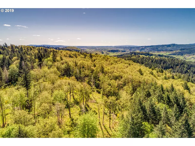 25330 NW Turner Creek RD, Yamhill, OR 97148