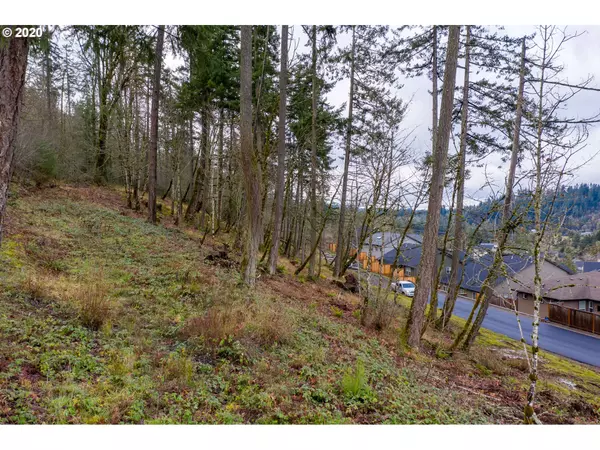 Eugene, OR 97401,Moon Mountain #Lot98