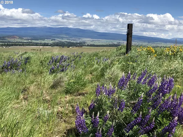 SHULL RANCH #2B, Goldendale, WA 98620