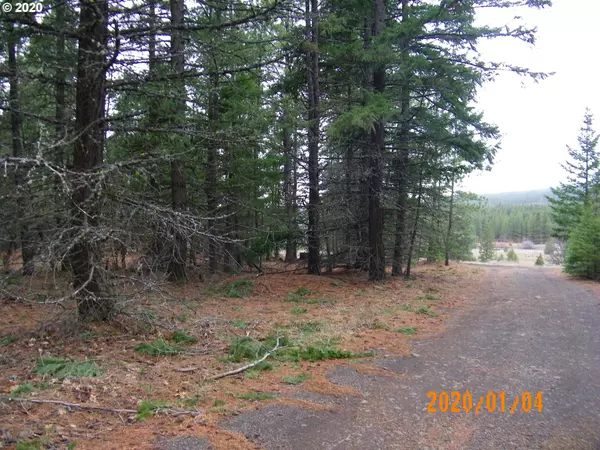 Goldendale, WA 98620,T and L Estates RD #4