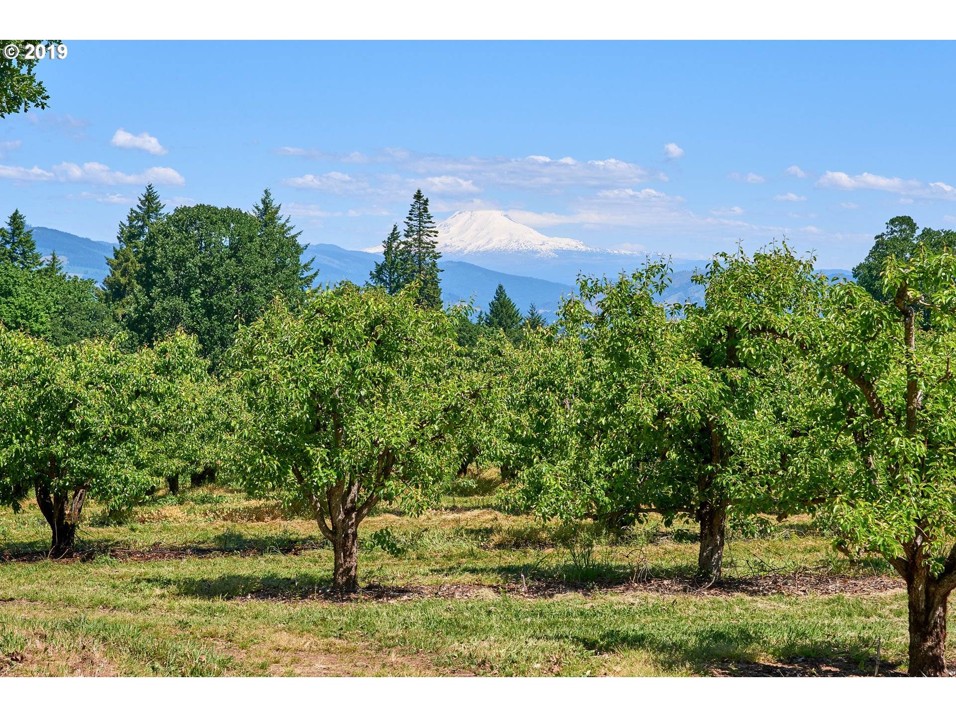 3735 FLETCHER DR, Hood River, OR 97031