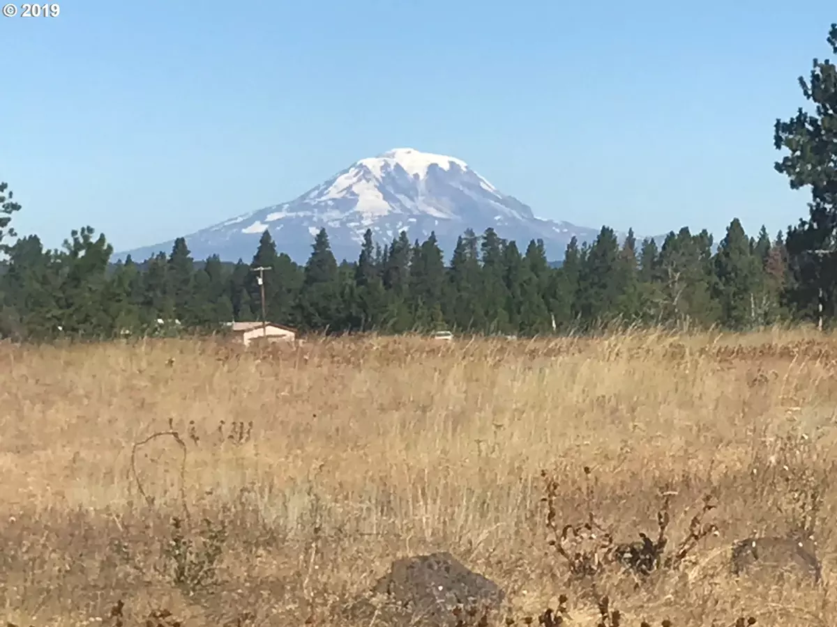 Goldendale, WA 98620,Lot 3 Mt View Ranch RD