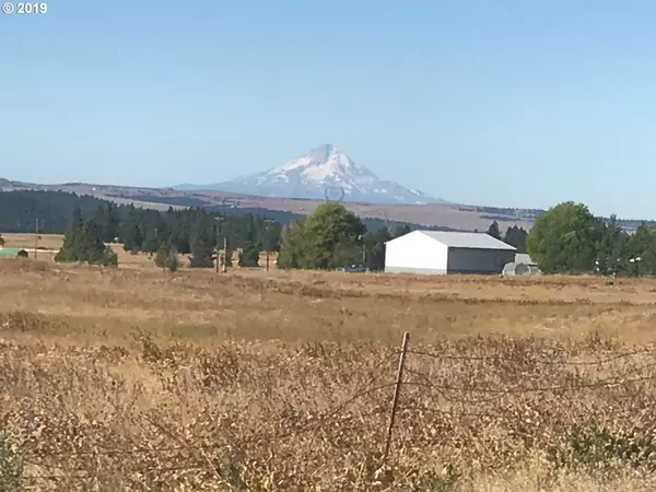 Goldendale, WA 98620,Lot 3 Mt View Ranch RD