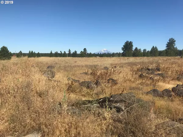 Goldendale, WA 98620,Lot 3 Mt View Ranch RD