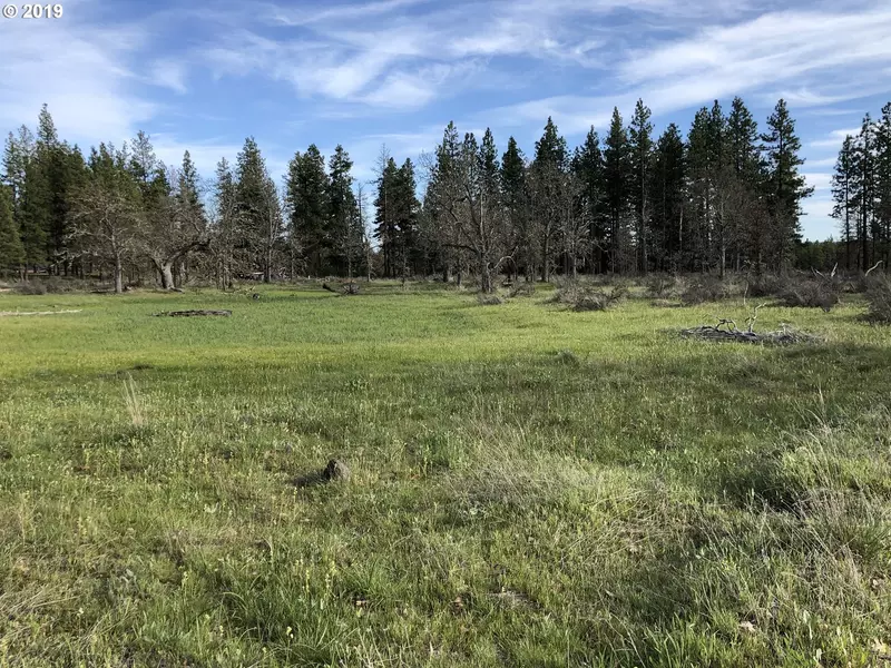 TANZANITE DR, Goldendale, WA 98620