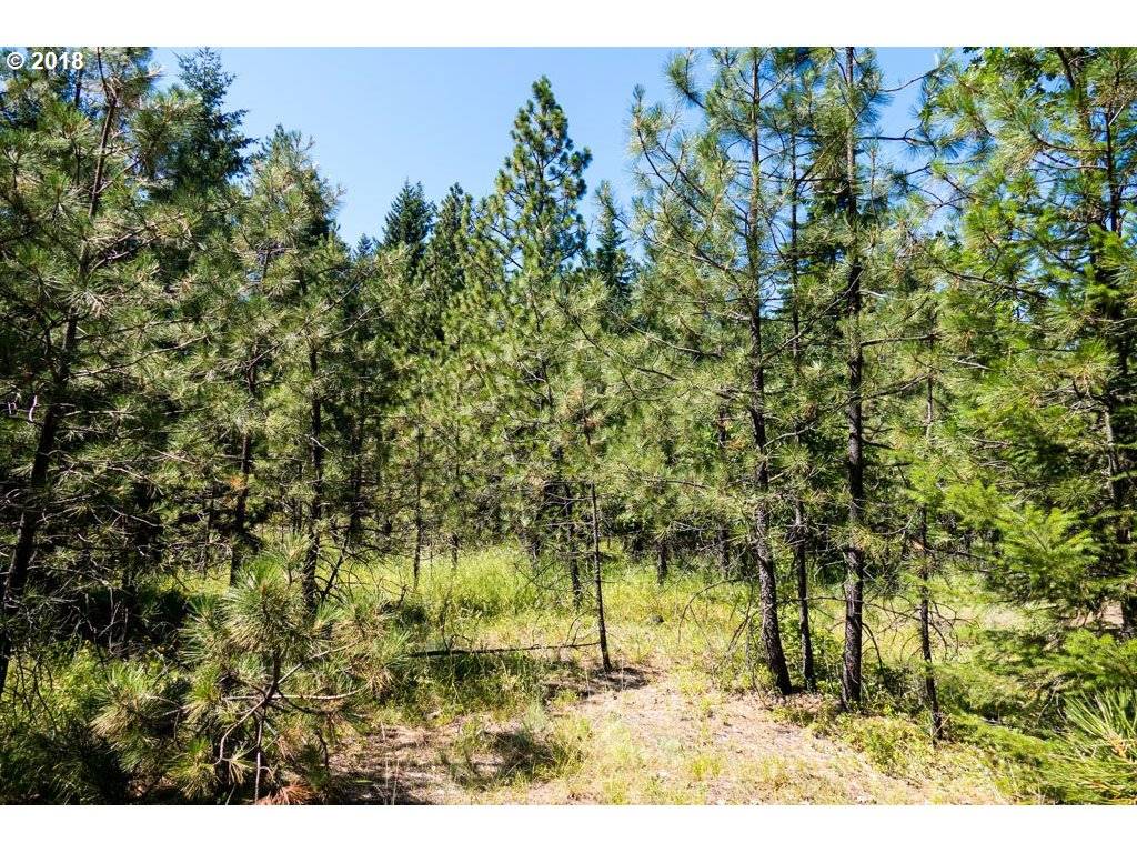 Trout Lake, WA 98650,36 Greenwood RD