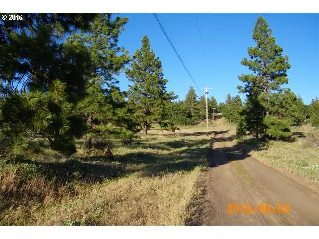 Goldendale, WA 98620,Woodland RD #9