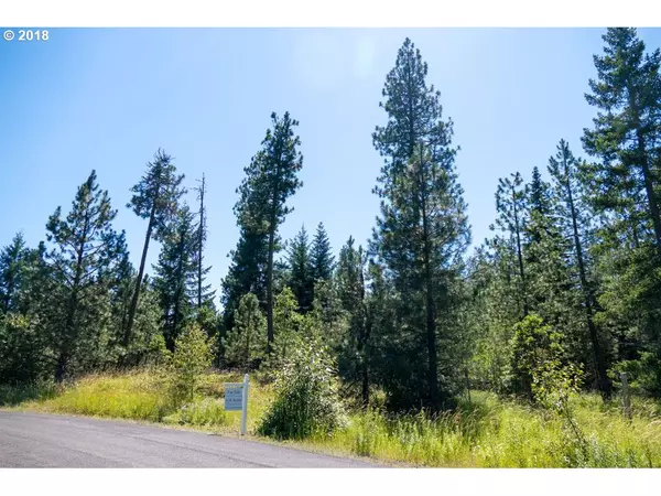 36 Greenwood RD, Trout Lake, WA 98650