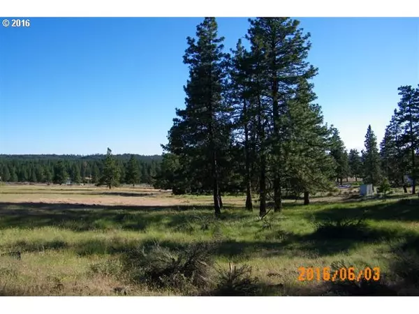 Goldendale, WA 98620,Woodland RD #9