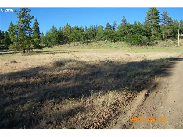 Goldendale, WA 98620,Woodland RD #9