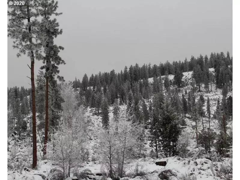 Sprague River RD, Chiloquin, OR 97624