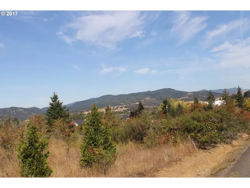 0 FORT MCKAY RD, Sutherlin, OR 97479