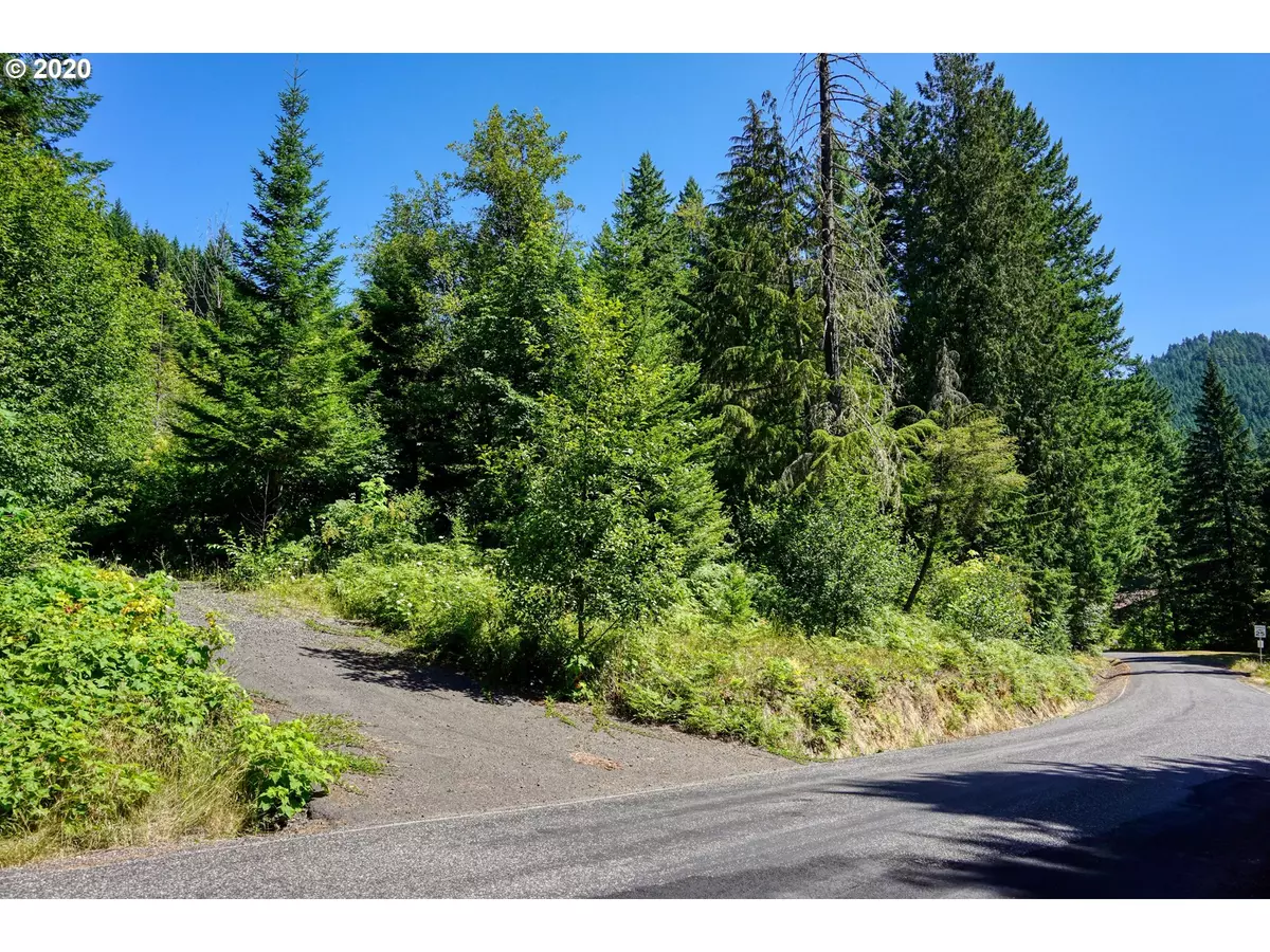 Carson, WA 98610,BEAR CREEK LOT 5,4