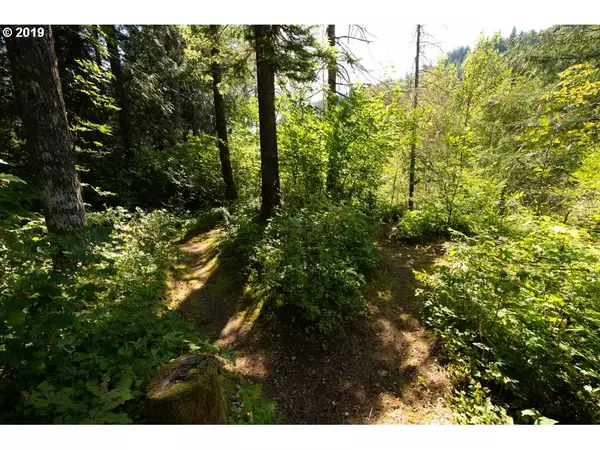 Rhododendron, OR 97049,000 E AUTUMN LN