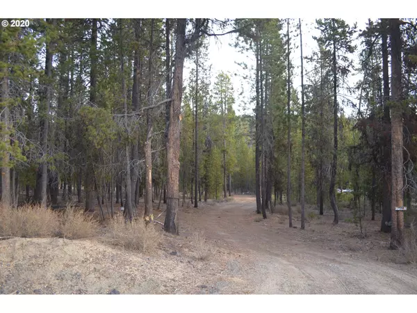 Crescent Lake, OR 97733,Pine Creek LOOP