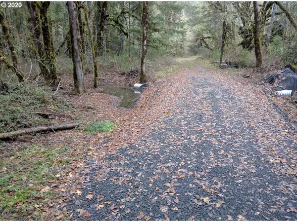 Carpenter ByPass RD #703, Lorane, OR 97451