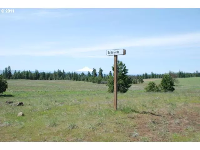 Saddle DR #18, Goldendale, WA 98620