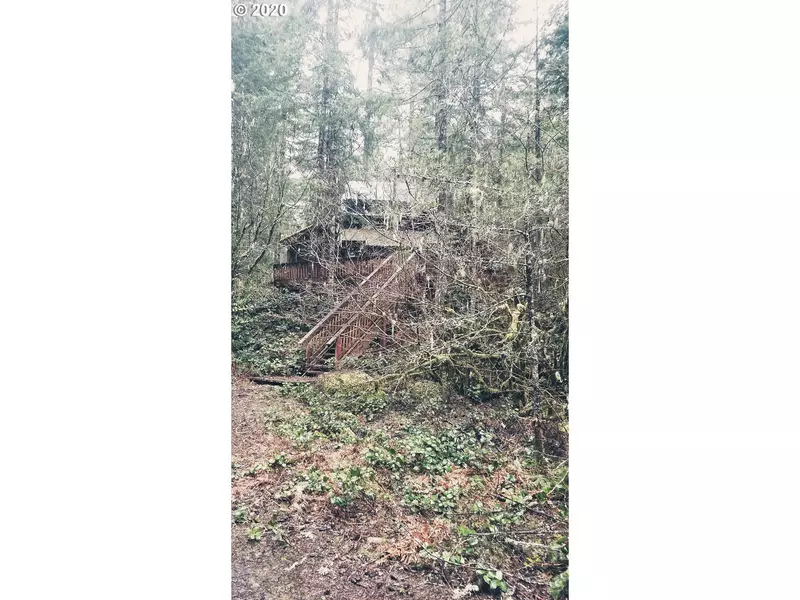 Cabin 86 Northwoods, Cougar, WA 98616