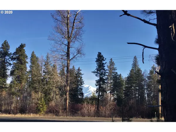 Trout Lake, WA 98650,16 Greenwood RD