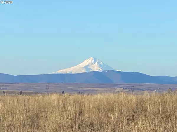 Goldendale, WA 98620,Mesecher RD #500