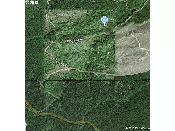 Cougar, WA 98616,Marble Mtn RD #3