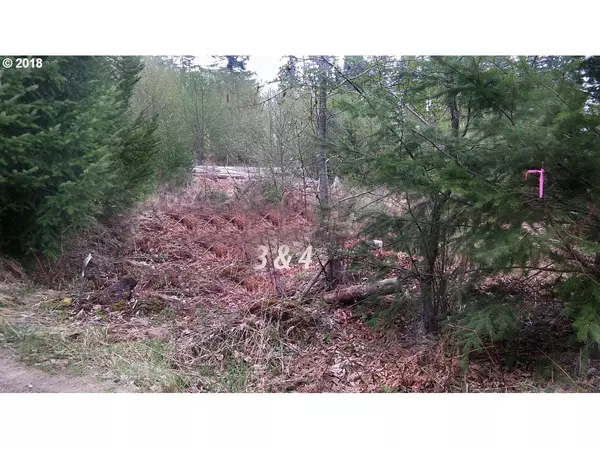 Cougar, WA 98616,Marble Mtn RD #3