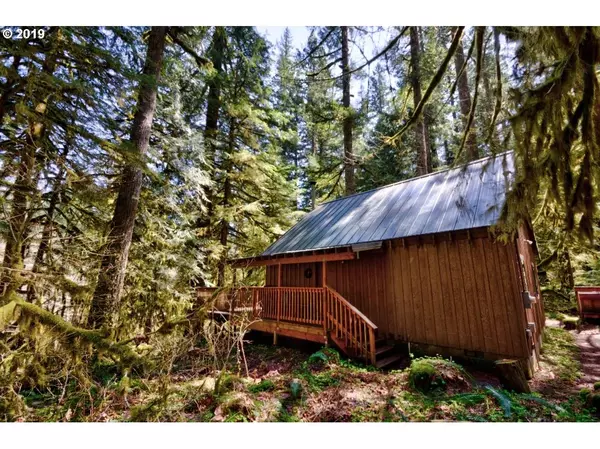 Rhododendron, OR 97049,28260 E ROAD 12 #Lot35