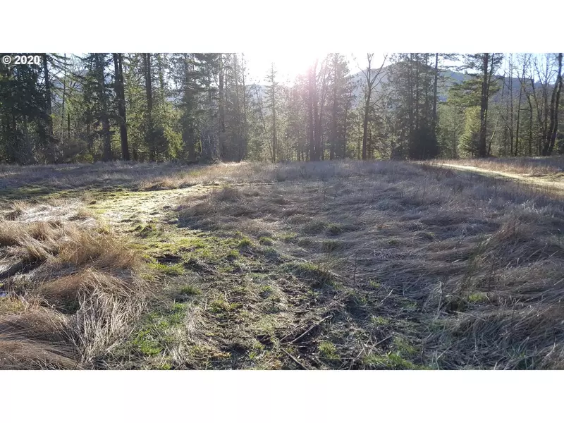 22542 E BRIGHTWATER WAY, Rhododendron, OR 97049