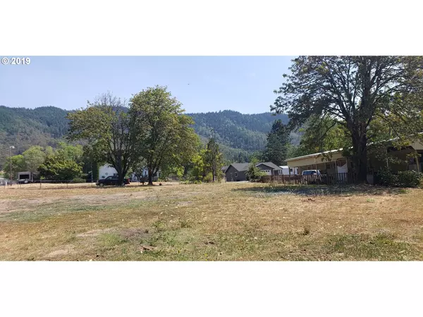 Myrtle Creek, OR 97457,977 HILL ST