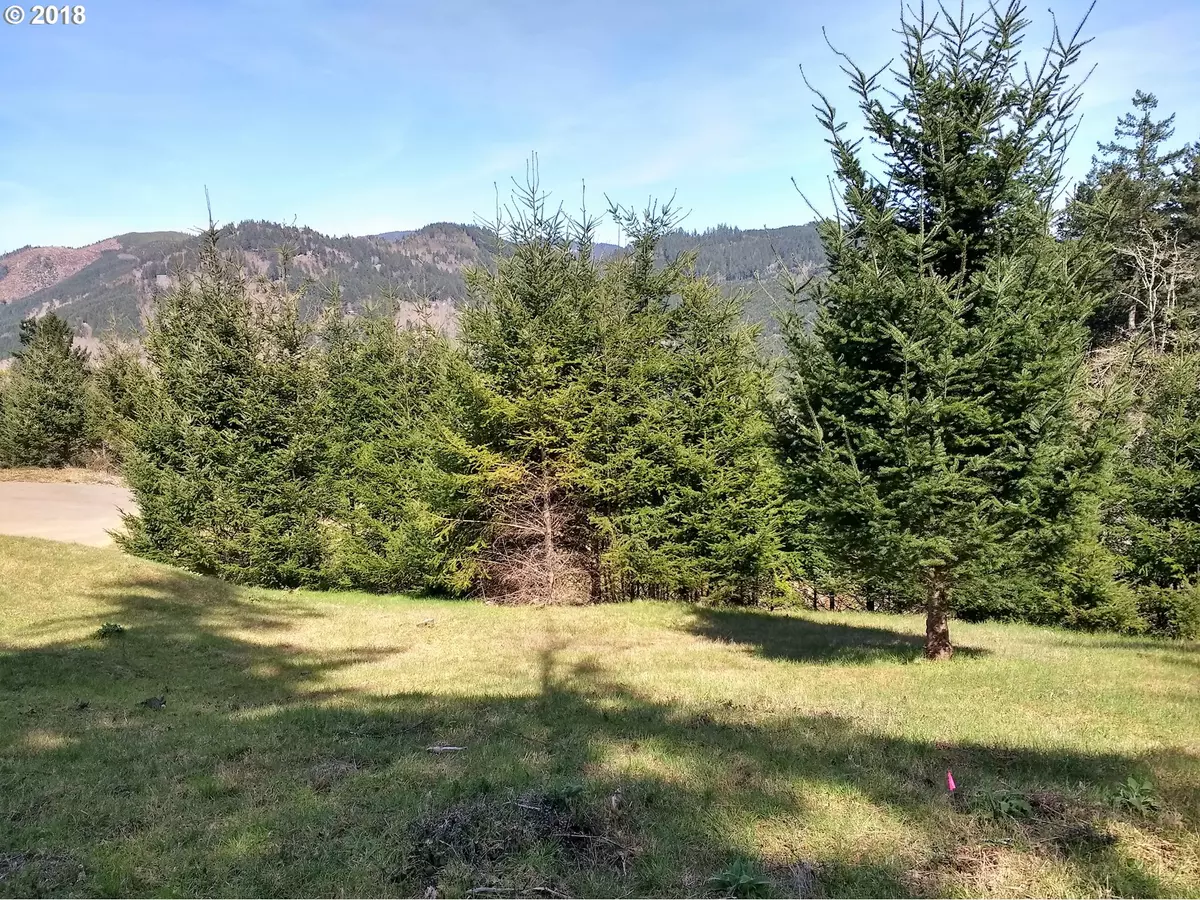 Brookings, OR 97415,98040 Sunforest CT