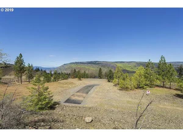 Mosier, OR 97040,1130 Penstemon CT #19