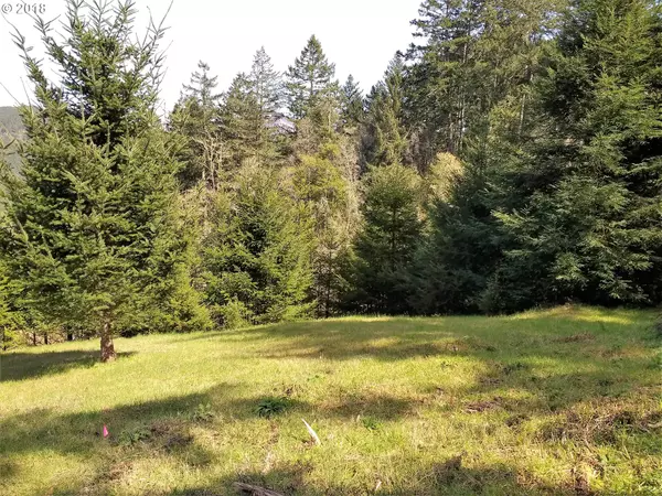 Brookings, OR 97415,98040 Sunforest CT