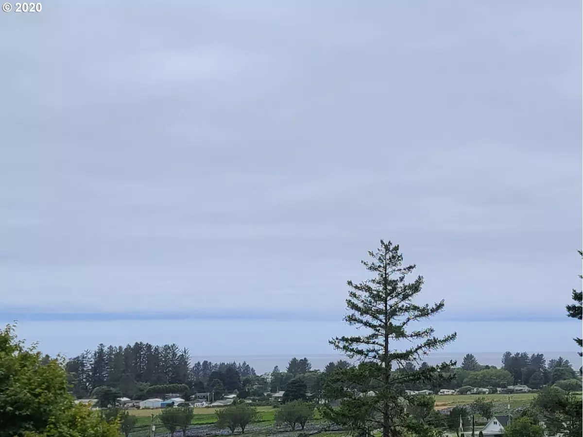 Brookings, OR 97415,0000 Pelican Bay DR